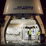 Air-Cargo3