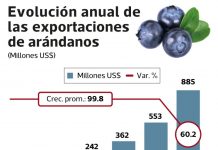EXPORTACIÓN PERUANA DE ARÁNDANOS CRECERÁ 60.2% DURANTE EL 2019
