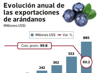 EXPORTACIÓN PERUANA DE ARÁNDANOS CRECERÁ 60.2% DURANTE EL 2019