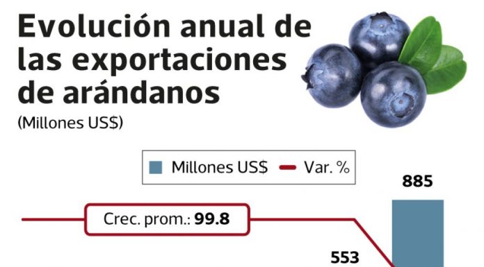 EXPORTACIÓN PERUANA DE ARÁNDANOS CRECERÁ 60.2% DURANTE EL 2019