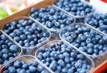 Perú exportaría su volumen mas grande de arandanos en la campaña 2019/20
