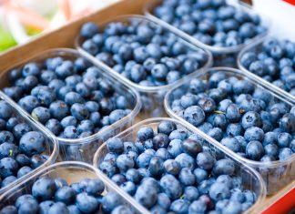 Perú exportaría su volumen mas grande de arandanos en la campaña 2019/20