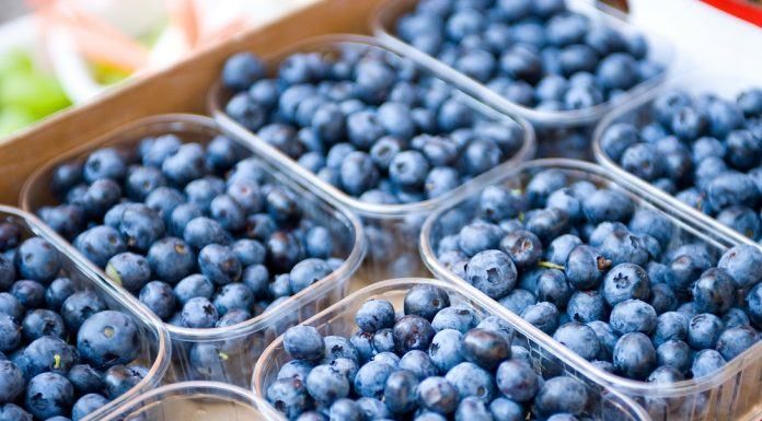 Perú exportaría su volumen mas grande de arandanos en la campaña 2019/20