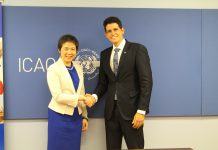 Acordo Brasil OACI deve alavancar transporte aéreo de carga no país