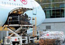 Carga aérea: el periodo más largo de contracción desde 2008