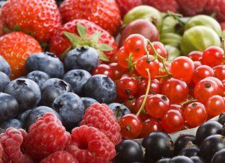 Hortifrut anuncia que exportará berries desde Colombia