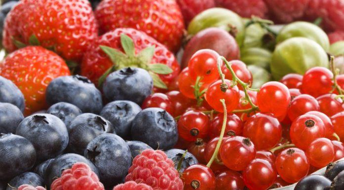 Hortifrut anuncia que exportará berries desde Colombia