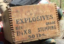 Por qué los forwarders necesitarían ser químicos?