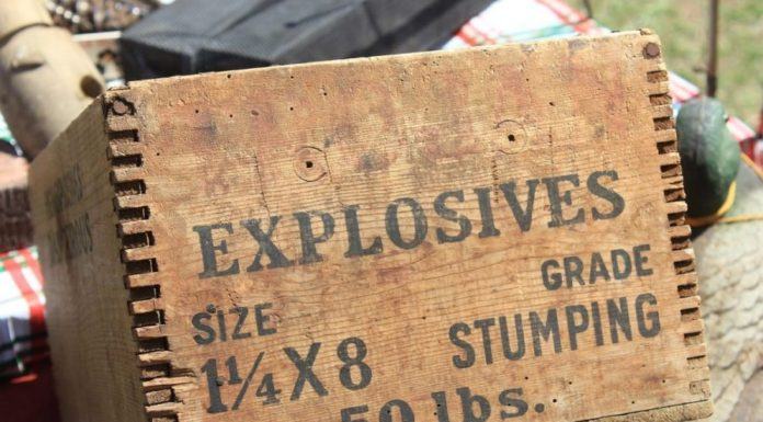 Por qué los forwarders necesitarían ser químicos?