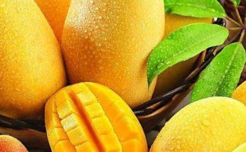 Mangos: Ecuador proyecta exportar más de 50 mil toneladas
