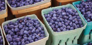 Llegó a China el primer embarque de arándanos de Uruguay