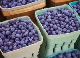 Llegó a China el primer embarque de arándanos de Uruguay