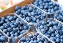 Exportaciones de arándanos de Perú crecen 60% interanual