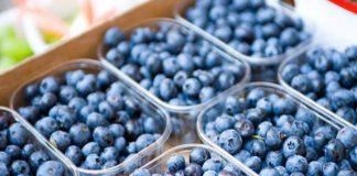 Exportaciones de arándanos de Perú crecen 60% interanual