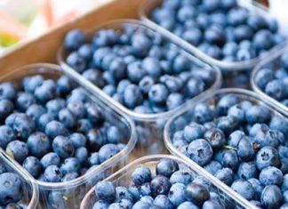 Exportaciones de arándanos de Perú crecen 60% interanual