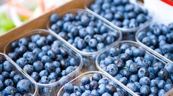 Exportaciones de arándanos de Perú crecen 60% interanual