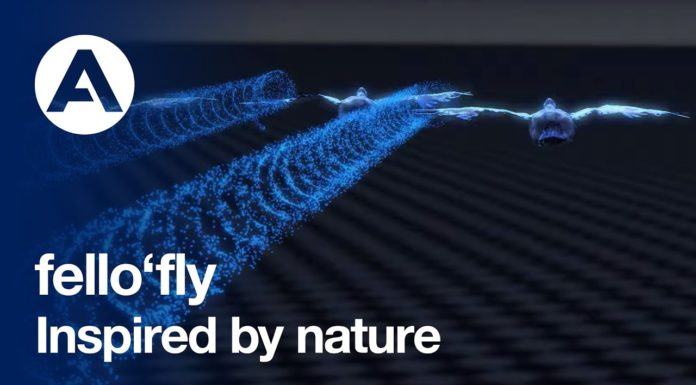 Fello´Fly. Como reducir consumo de combustible