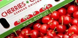 Chile: Comité de Cerezas estima un crecimiento de 16,7% en el volumen exportado