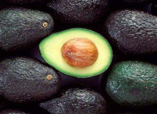 Colombia anuncia el inicio de las exportaciones de aguacate a China