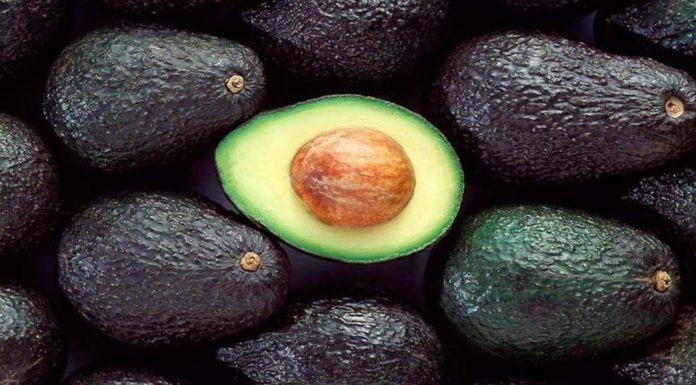 Colombia anuncia el inicio de las exportaciones de aguacate a China