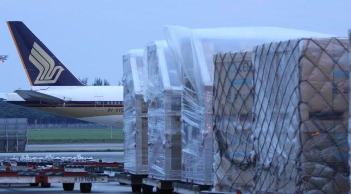 IATA mejorará la eficiencia de las auditorías de Cargo Handling