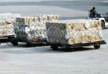 Cámara Aduanera difunde medidas del SAG para agilización de cargas