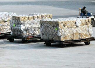 Cámara Aduanera difunde medidas del SAG para agilización de cargas