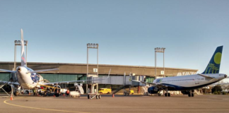 Aeropuerto Carriel Sur apuesta a ser la plataforma de exportación aérea de la zona centro-sur