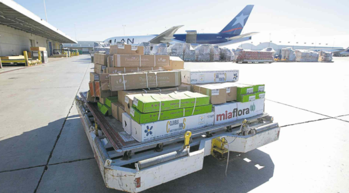 Coronavirus está creando un auge de vuelos de carga en el aeropuerto internacional de Miami