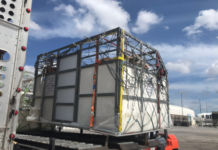 Caribbean Airlines Cargo transporta 159 vacas desde Miami a Barbados