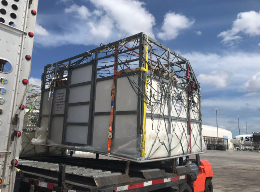 Caribbean Airlines Cargo transporta 159 vacas desde Miami a Barbados