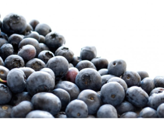 Industria de arándanos en Argentina preocupada por la posible falta de capacidad