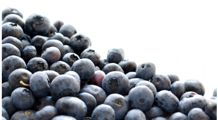 Industria de arándanos en Argentina preocupada por la posible falta de capacidad