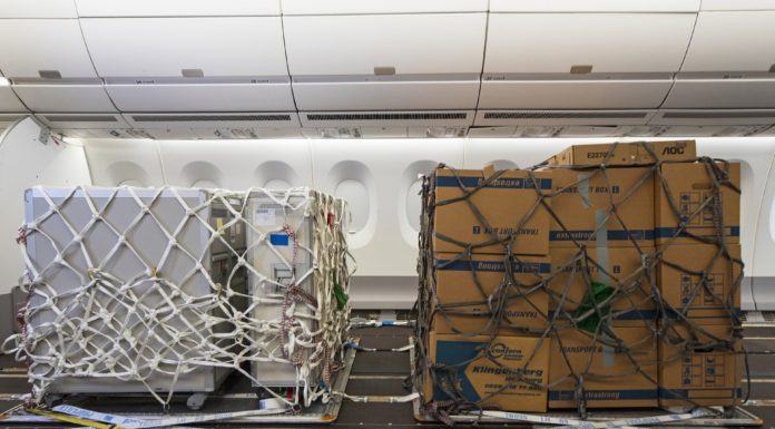 Solución de Airbus para que las aerolíneas utilicen sus aviones de fuselaje ancho para carga