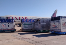 Se inicia la temporada de embarques de caballos desde Argentina a Europa