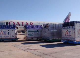 Se inicia la temporada de embarques de caballos desde Argentina a Europa