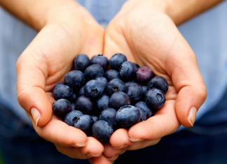 Arándanos en America Latina. Panorama del Portal Frutícola