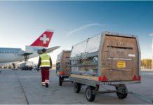 Swiss World Cargo publica sus nuevas rutas «solo cargas»