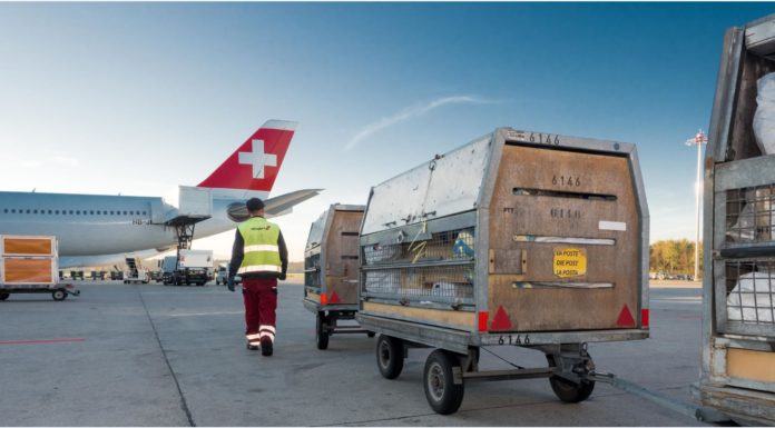 Swiss World Cargo publica sus nuevas rutas «solo cargas»