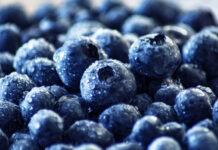 Chile en la antesala de una buena temporada de arándanos 2020/2021
