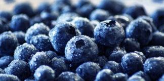 Chile en la antesala de una buena temporada de arándanos 2020/2021