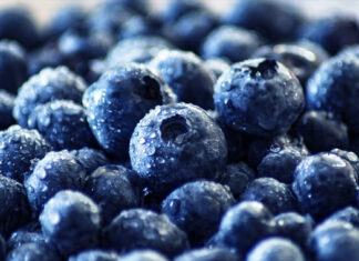 Chile en la antesala de una buena temporada de arándanos 2020/2021