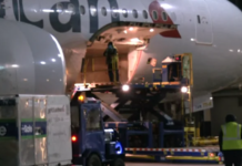 American Airlines Cargo transporta su primer embarque de vacunas Covid-19