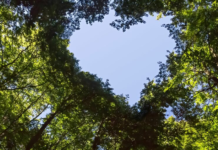 Air France-KLM-Martinair Cargo emprende el camino hacia la sostenibilidad en Ecuador