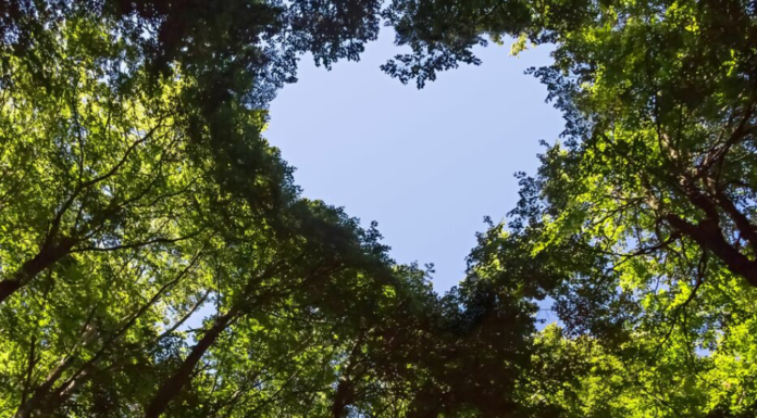 Air France-KLM-Martinair Cargo emprende el camino hacia la sostenibilidad en Ecuador