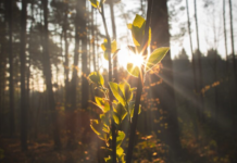 La preparación de la industria de la carga aérea para el transporte de la vacuna Covid-19 sigue mejorando