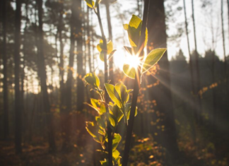 La preparación de la industria de la carga aérea para el transporte de la vacuna Covid-19 sigue mejorando