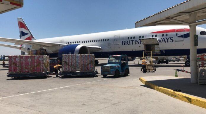 IAG Cargo tuvo una temporada record de cerezas desde Chile y Argentina