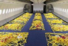 Iberia convierte su tercer A330 en carguero