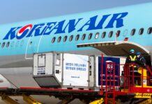 Korean Air cargo realizó 10.000 vuelos con aviones de pasajeros transportando solo cargas